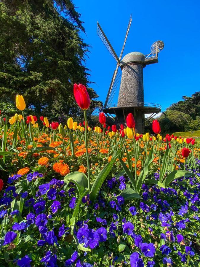 Golden Gate Park Suite Сан-Франциско Экстерьер фото