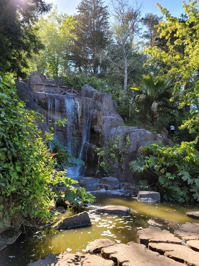 Golden Gate Park Suite Сан-Франциско Экстерьер фото